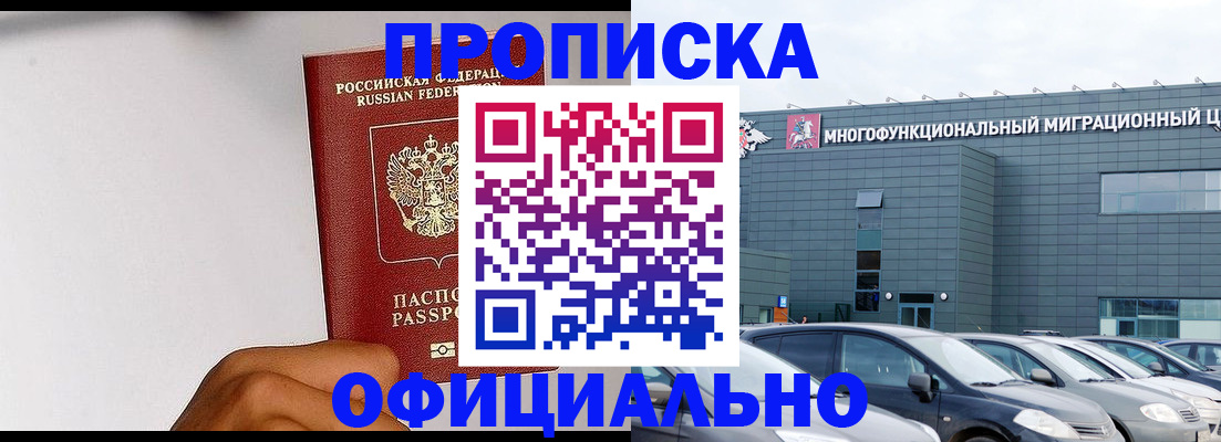 прописка поиск в Кингисеппе